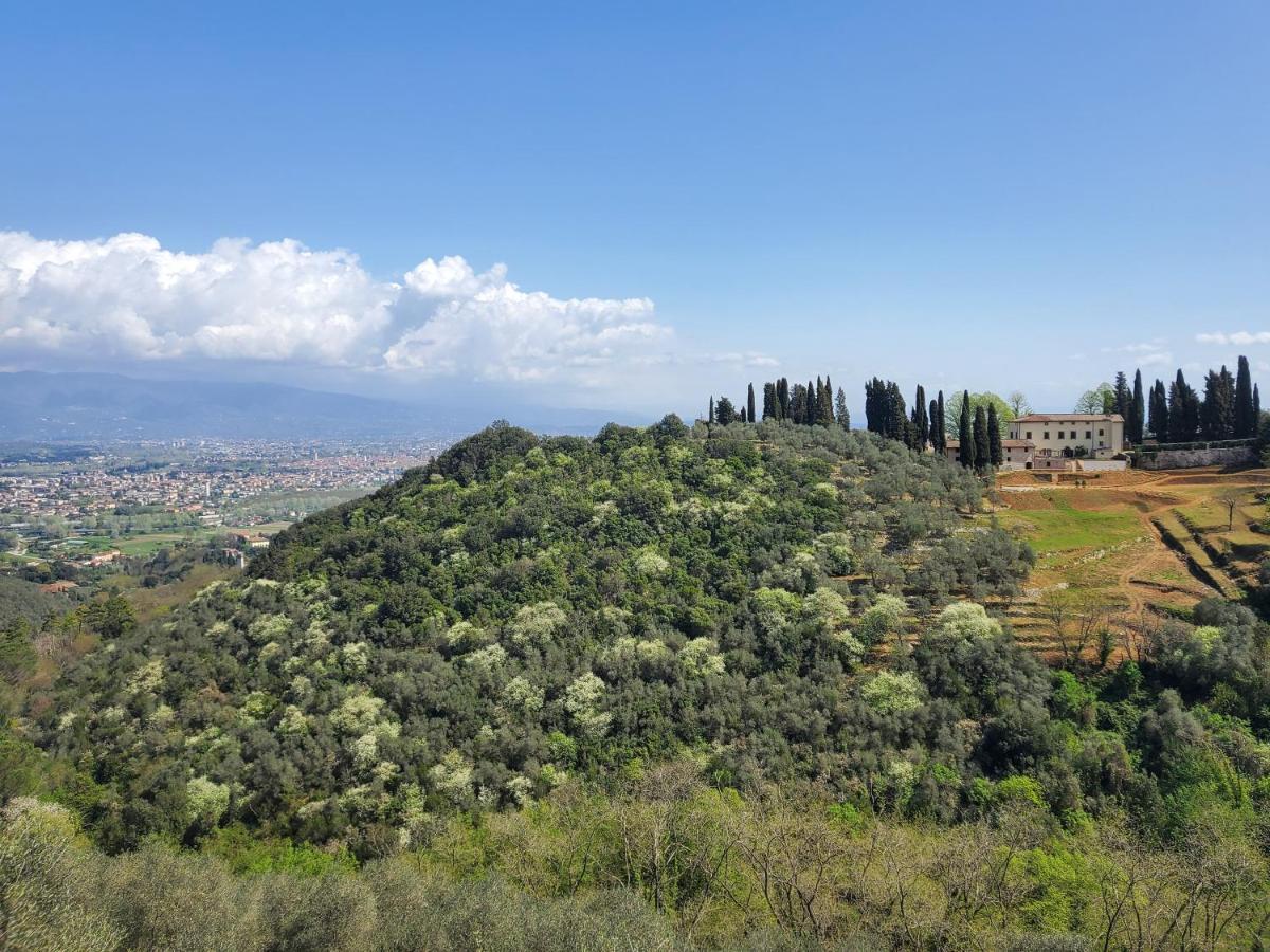 לוקה Villetta Farfallina "The Unique Property In The World With An Openable Roof" מראה חיצוני תמונה